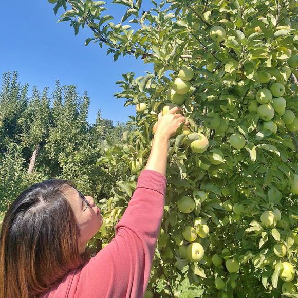 Meet your Posher, Pham - Picture 3 of 3